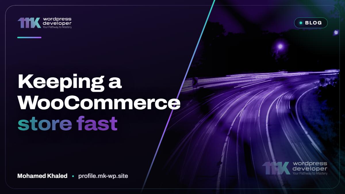 Keeping a WooCommerce store fast